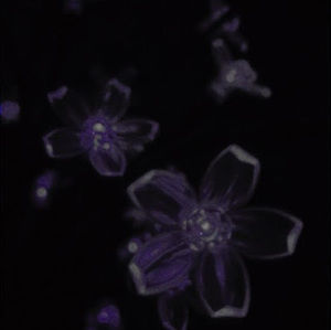 Meet your Posher, Maritza